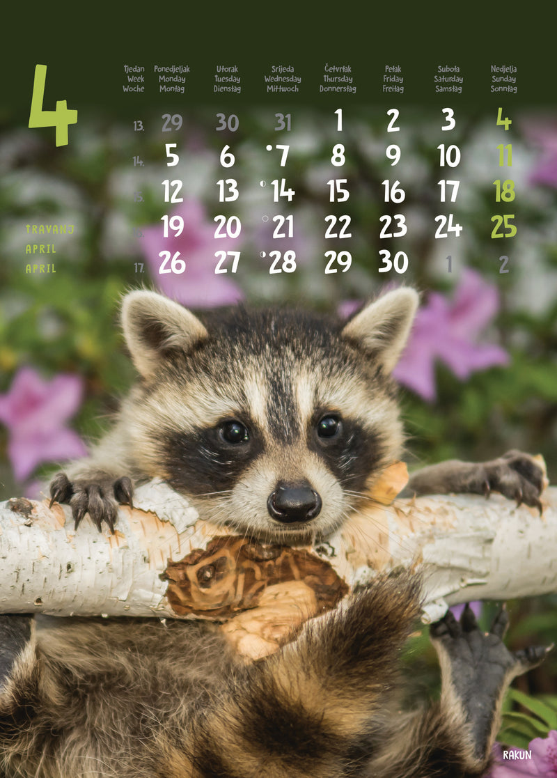 Promotivni zidni kalendar Životinje