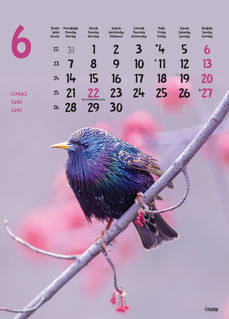 Promotivni zidni kalendar Životinje