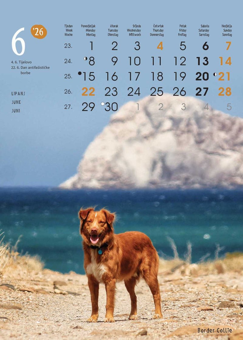 Promotivni zidni kalendar Životinje