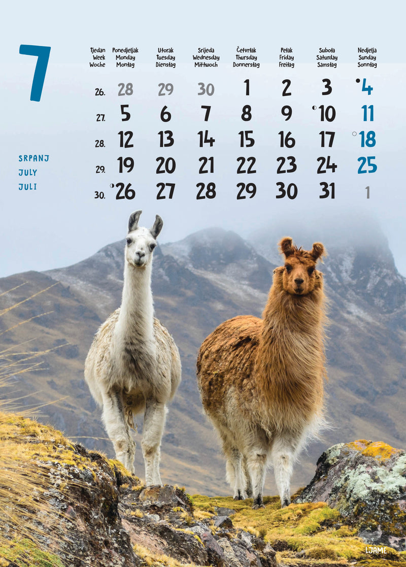 Promotivni zidni kalendar Životinje
