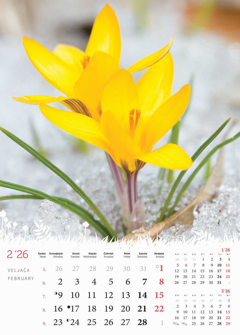 Promotivni zidni kalendar Cvijeće