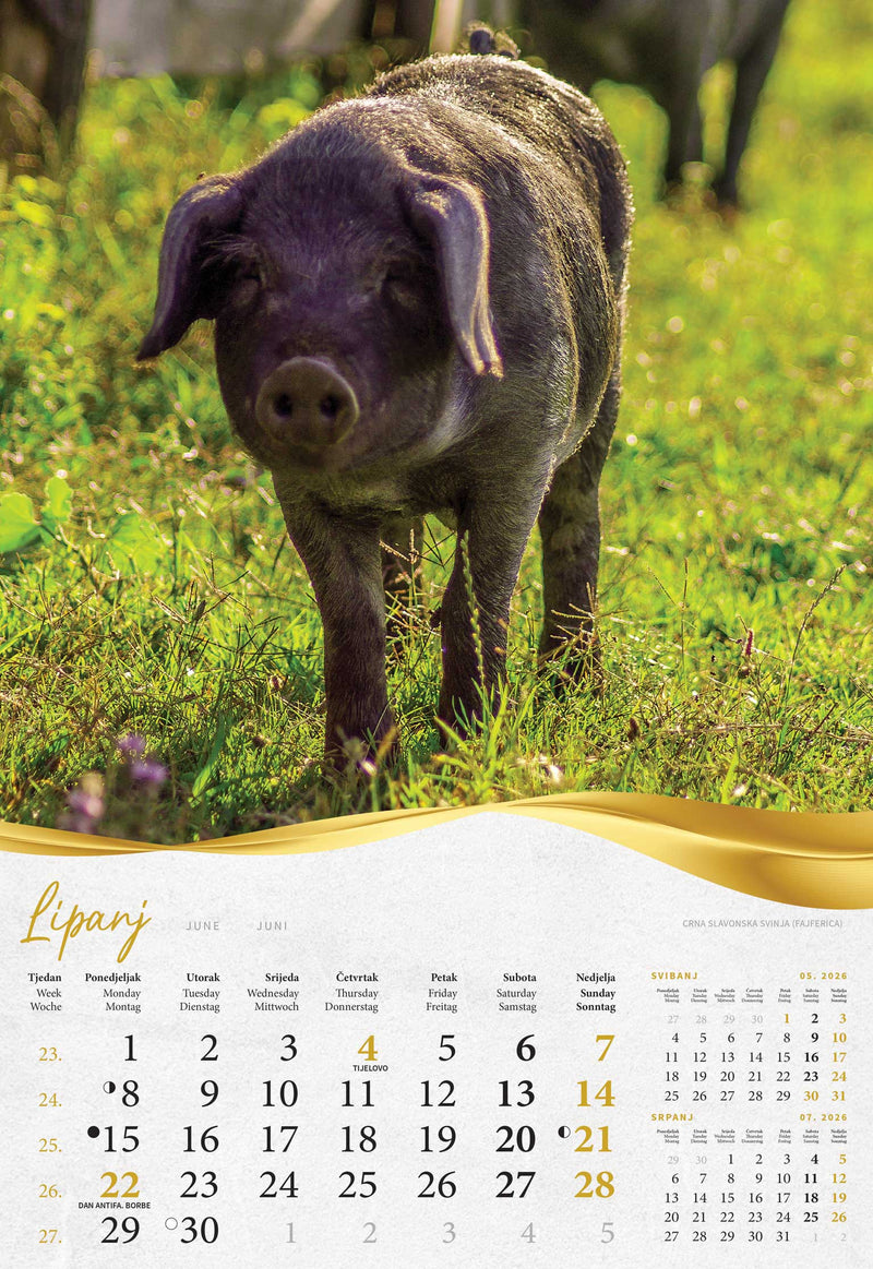 Promotivni kalendar Moja zlatna Slavonija i Baranja