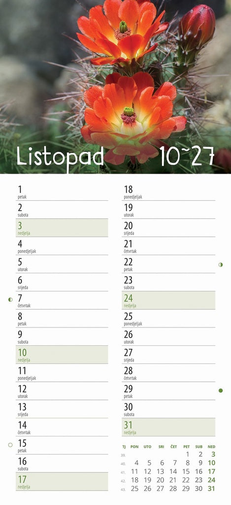 Promotivni zidni kalendar Cvjetni planer