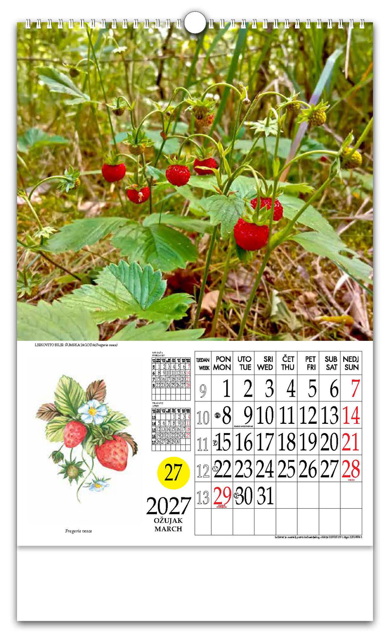 Jedinstveni promotivni zidni kalendar s rotacijskim krugom Ljekovito bilje