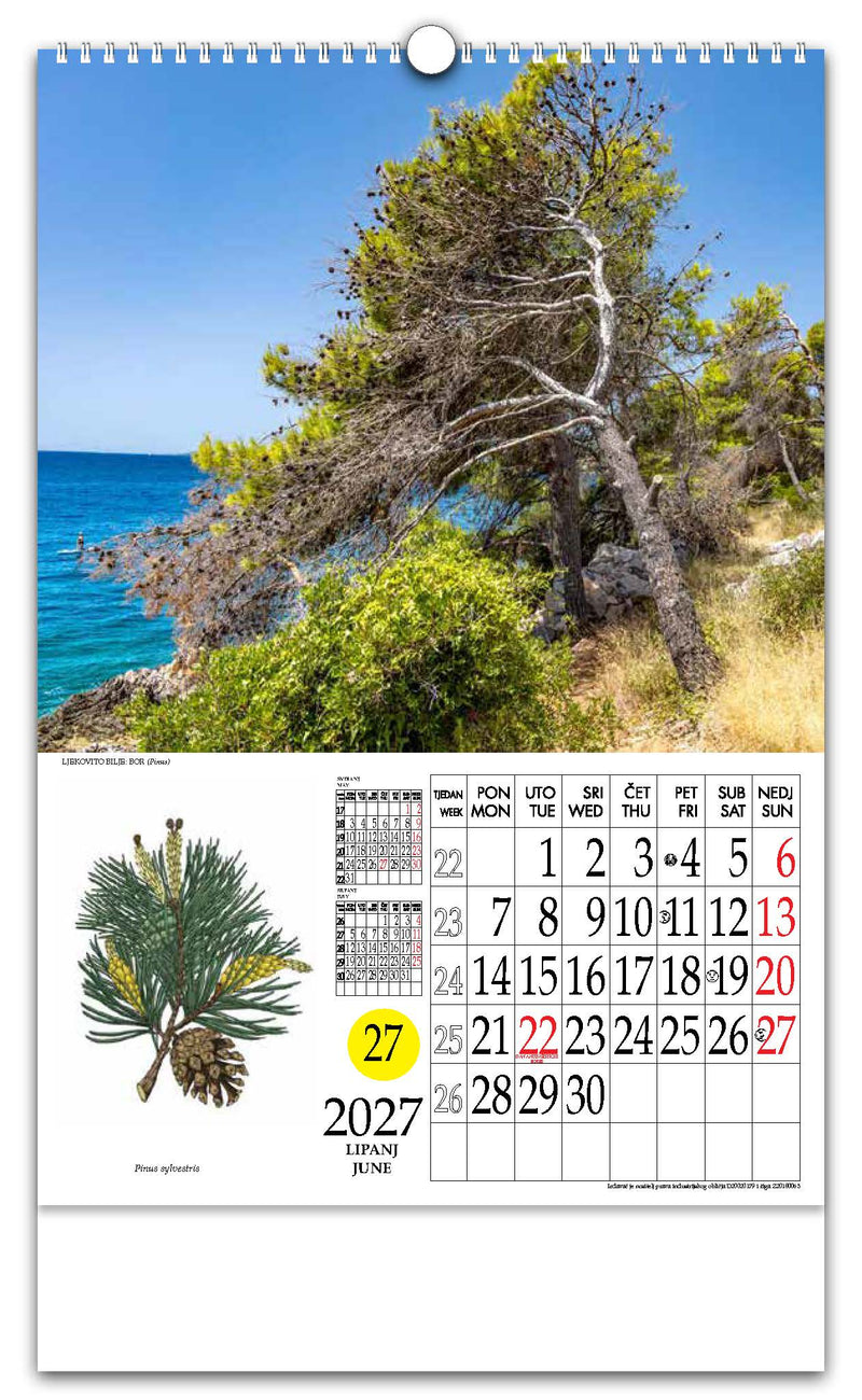 Jedinstveni promotivni zidni kalendar s rotacijskim krugom Ljekovito bilje