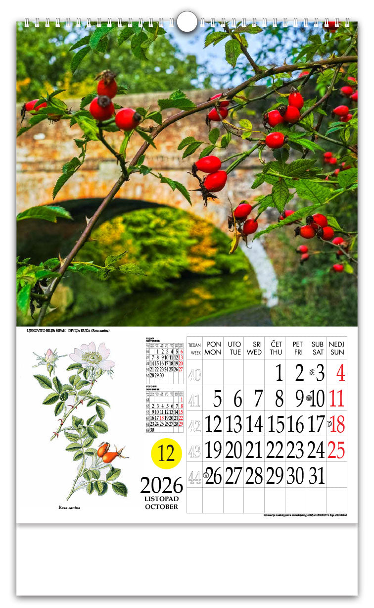 Jedinstveni promotivni zidni kalendar s rotacijskim krugom Ljekovito bilje