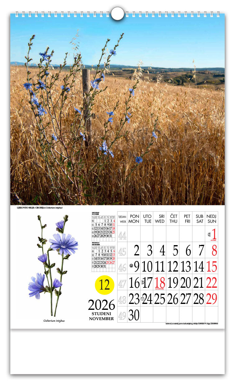 Jedinstveni promotivni zidni kalendar s rotacijskim krugom Ljekovito bilje