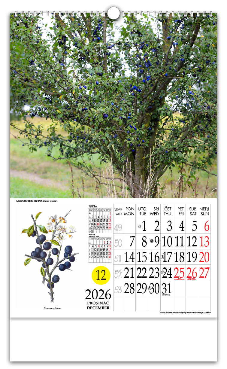 Jedinstveni promotivni zidni kalendar s rotacijskim krugom Ljekovito bilje