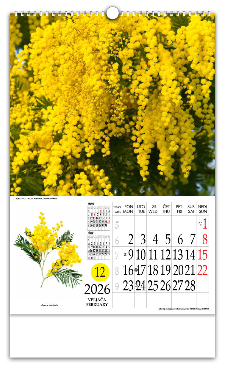 Jedinstveni promotivni zidni kalendar s rotacijskim krugom Ljekovito bilje