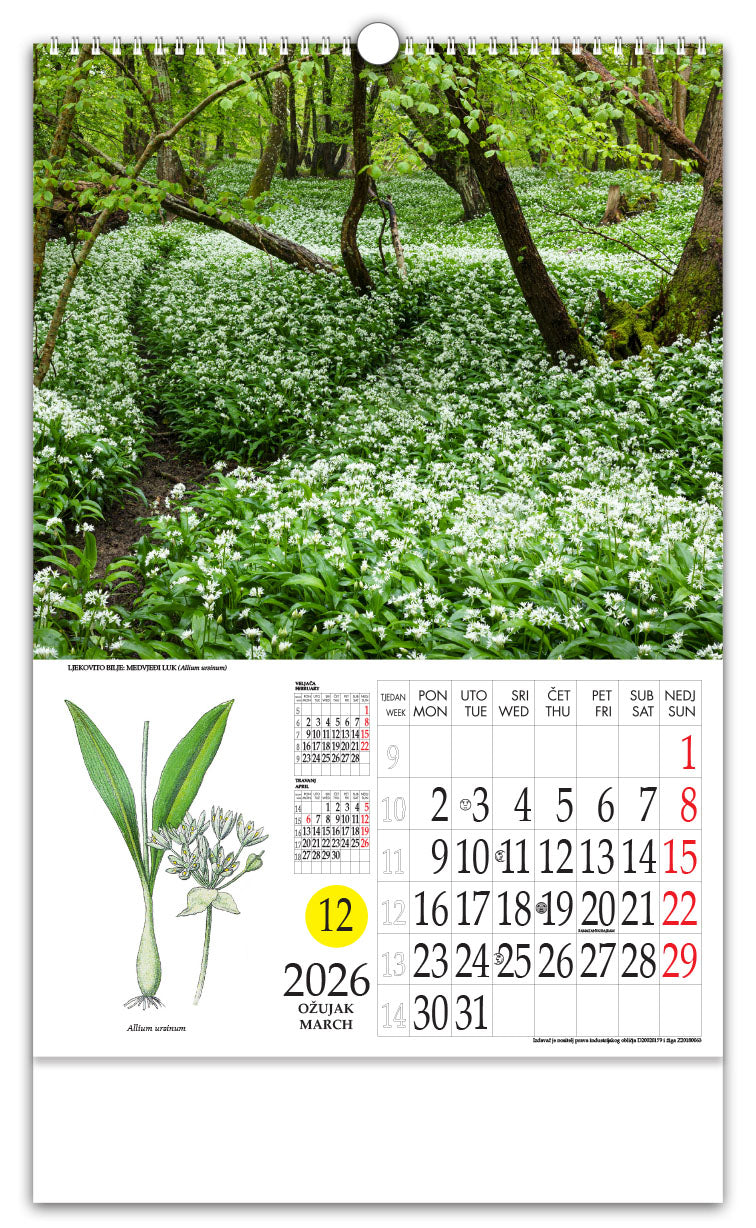 Jedinstveni promotivni zidni kalendar s rotacijskim krugom Ljekovito bilje