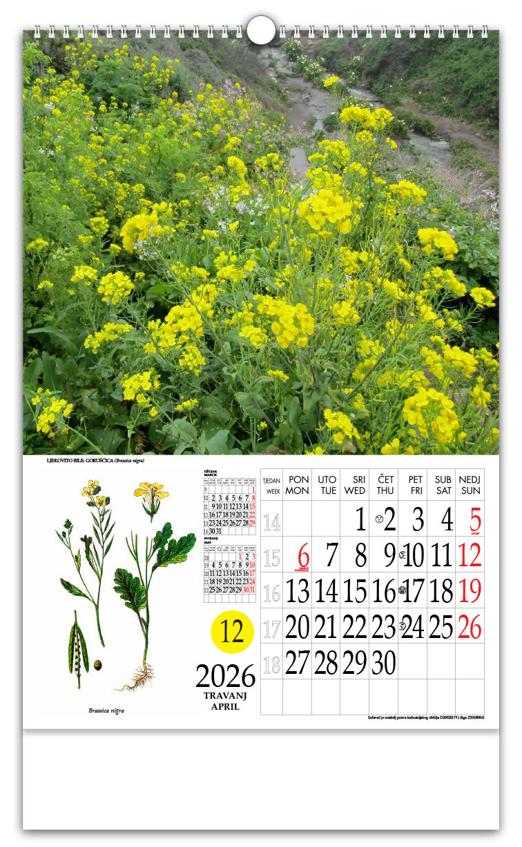 Jedinstveni promotivni zidni kalendar s rotacijskim krugom Ljekovito bilje