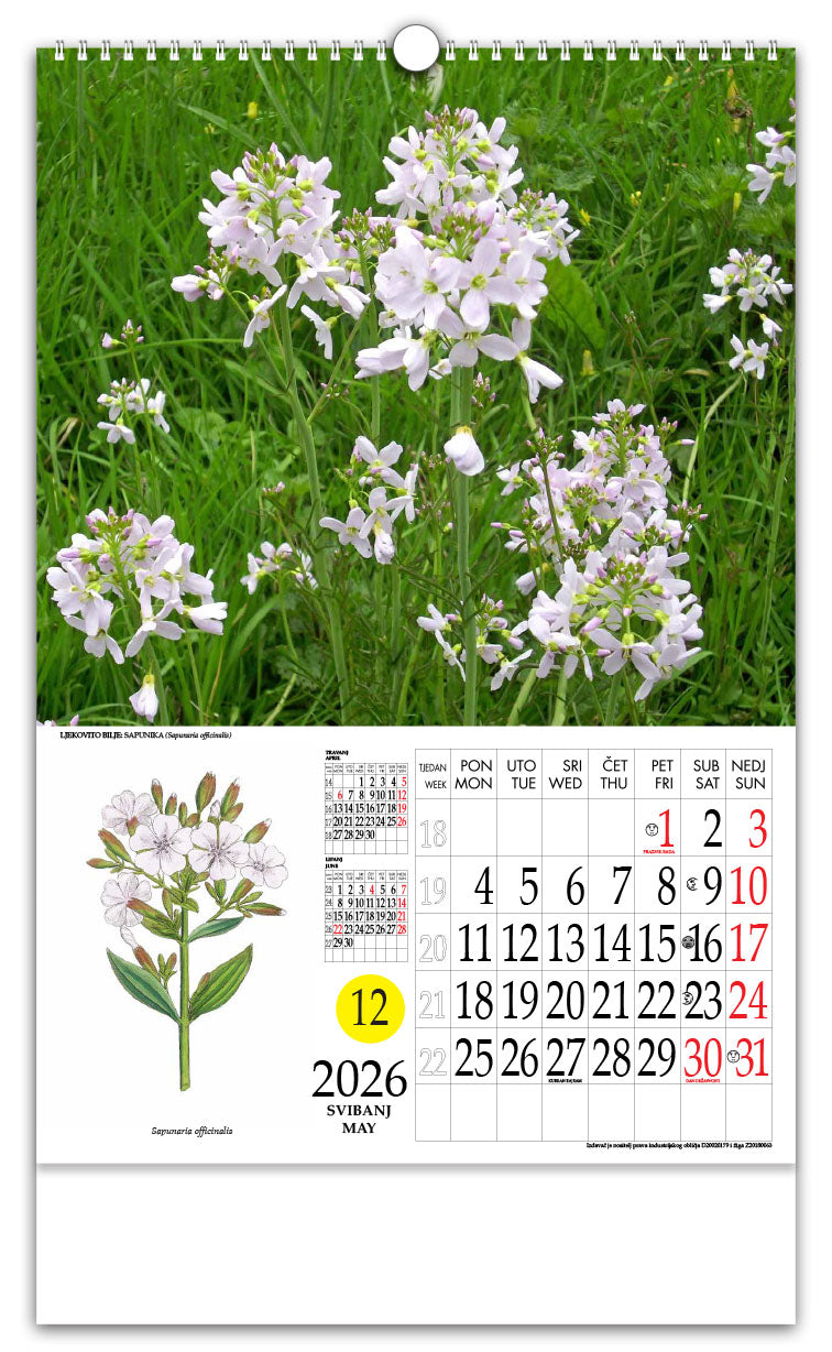 Jedinstveni promotivni zidni kalendar s rotacijskim krugom Ljekovito bilje