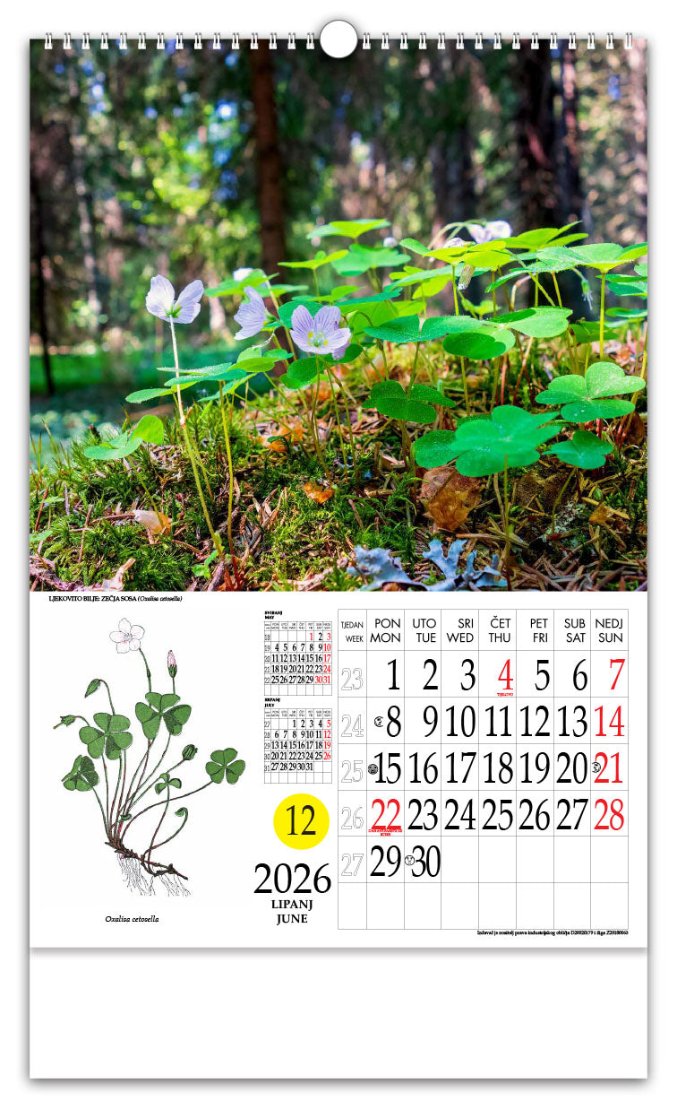 Jedinstveni promotivni zidni kalendar s rotacijskim krugom Ljekovito bilje