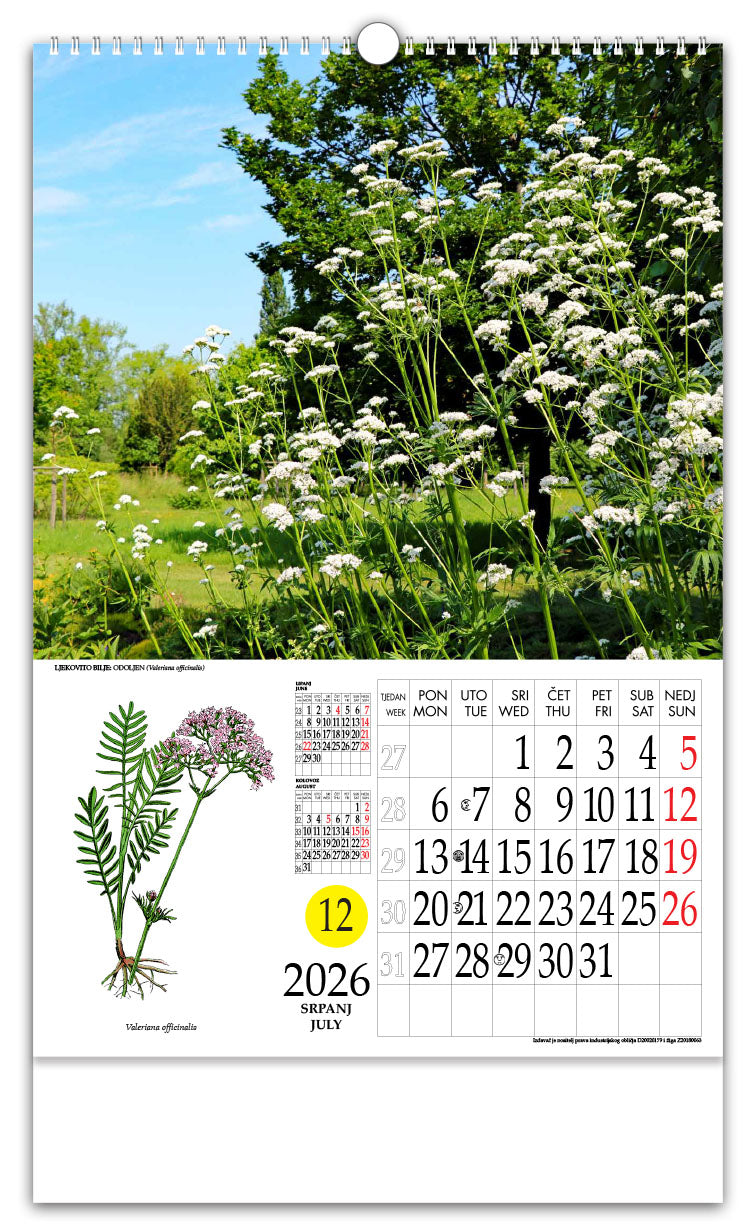 Jedinstveni promotivni zidni kalendar s rotacijskim krugom Ljekovito bilje