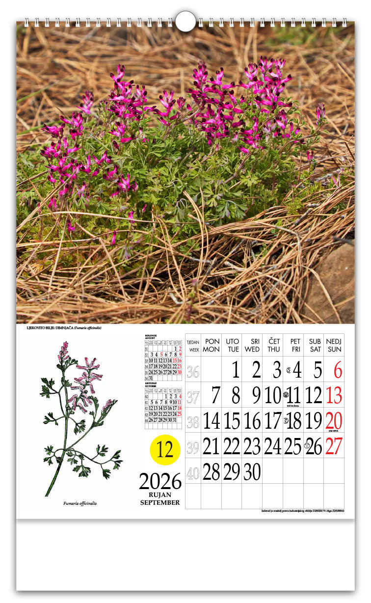 Jedinstveni promotivni zidni kalendar s rotacijskim krugom Ljekovito bilje