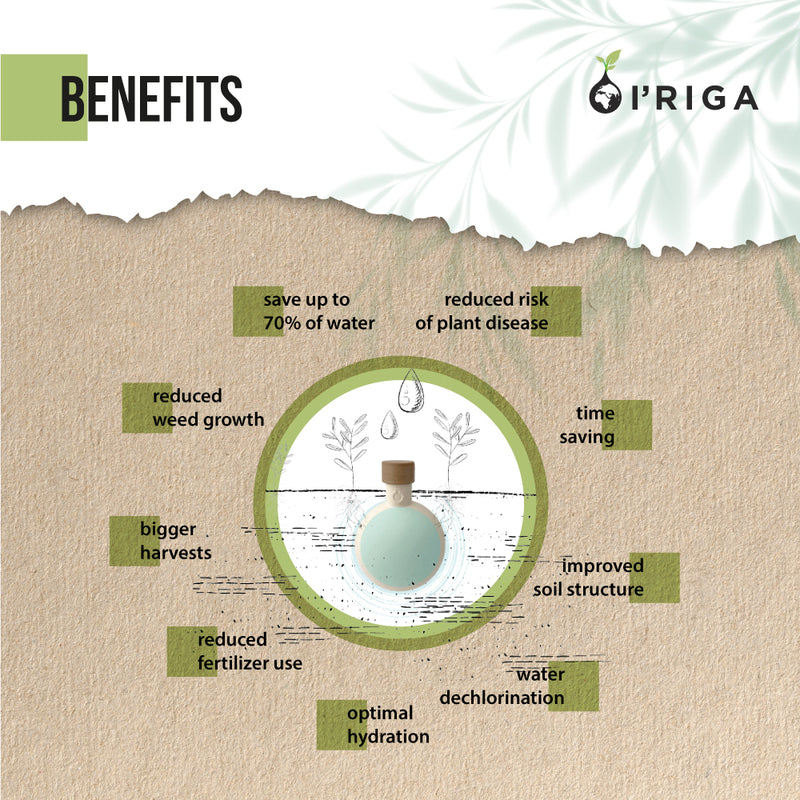 Jedinstvena keramička posuda za navodnjavanje biljaka 200ml