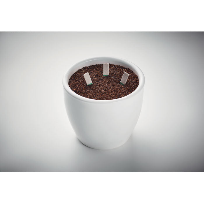 Štapići sa sjemenkama začinskog bilja