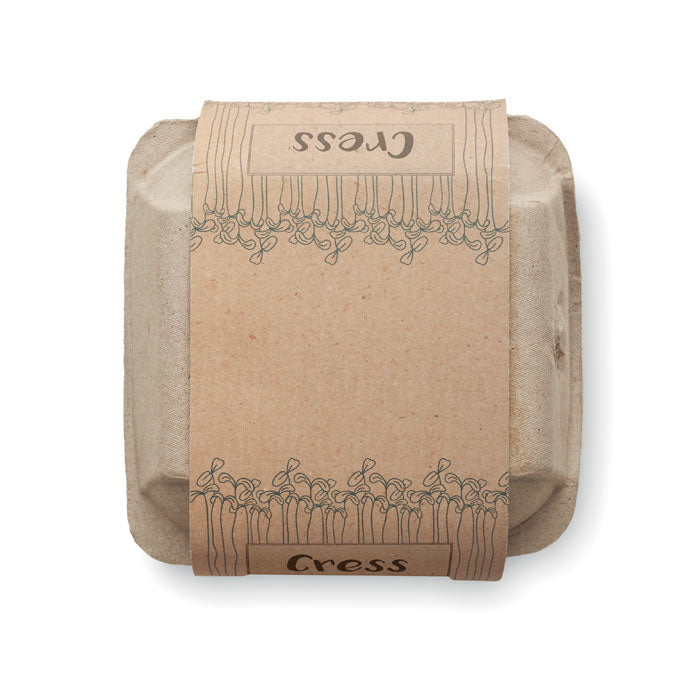 Set od 4 teglice sa sjemenkama grbaštice | Poslovni pokloni